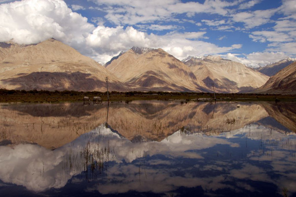 voyage-moto-inde-himalaya-ladakh-nubra Vallée de la Nubra - Voyage à moto Transhimalayenne et Ladakh, Inde, Himalaya