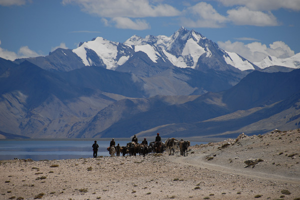 Nomade et chevaux au lac Tsomoriri – Voyage à moto Transhimalayenne et Ladakh, Inde, Himalaya Nomade et chevaux au lac Tsomoriri - Voyage à moto Transhimalayenne et Ladakh, Inde, Himalaya